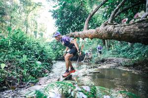 BIB: 
                            <button type="button" onclick="openModal(25433978)" class="btn btn-primary btn-sm float-right btn-popup" data-toggle="modal" data-target=".modal-high-quality">
                        <i class="fas fa-shopping-cart"></i> Add to Cart
                    </button>
                                            <button type="button" onclick="isThisMe(25433978, true)" class="btn btn-success btn-sm float-right btn-popup btn-isme hidden" data-toggle="tooltip" data-placement="bottom" title="นี่คือรูปของคุณใช่ไหม คลิกที่นี่เพื่อเอาเข้าอัลบั้ม">
                        <i class="fas fa-plus"></i> Add to album
                    </button>
                    <button type="button" onclick="isThisMe(25433978, false)" class="btn btn-warning btn-sm float-right btn-popup btn-isnotme hidden">
                        <i class="fas fa-ban"></i> Remove from album
                    </button>